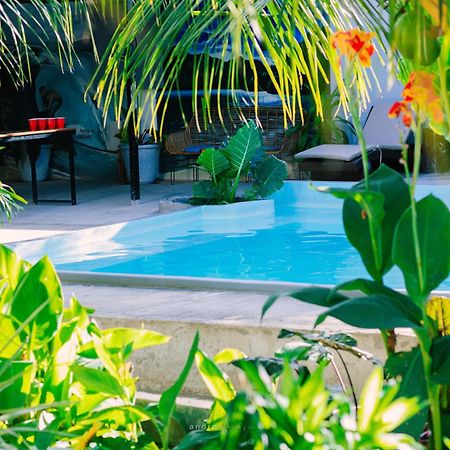 Ananas Guesthouse Moalboal Zewnętrze zdjęcie