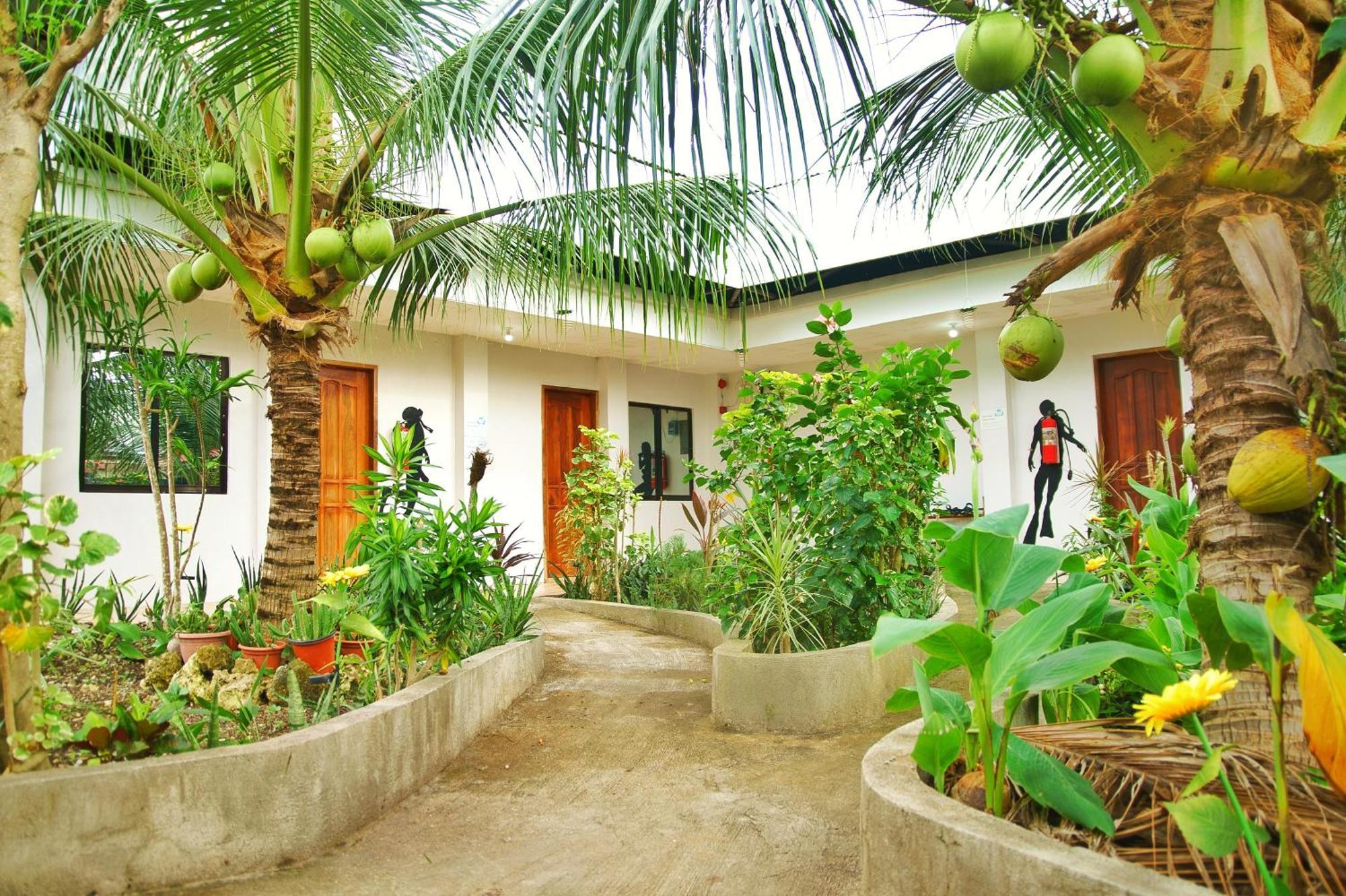 Ananas Guesthouse Moalboal Zewnętrze zdjęcie