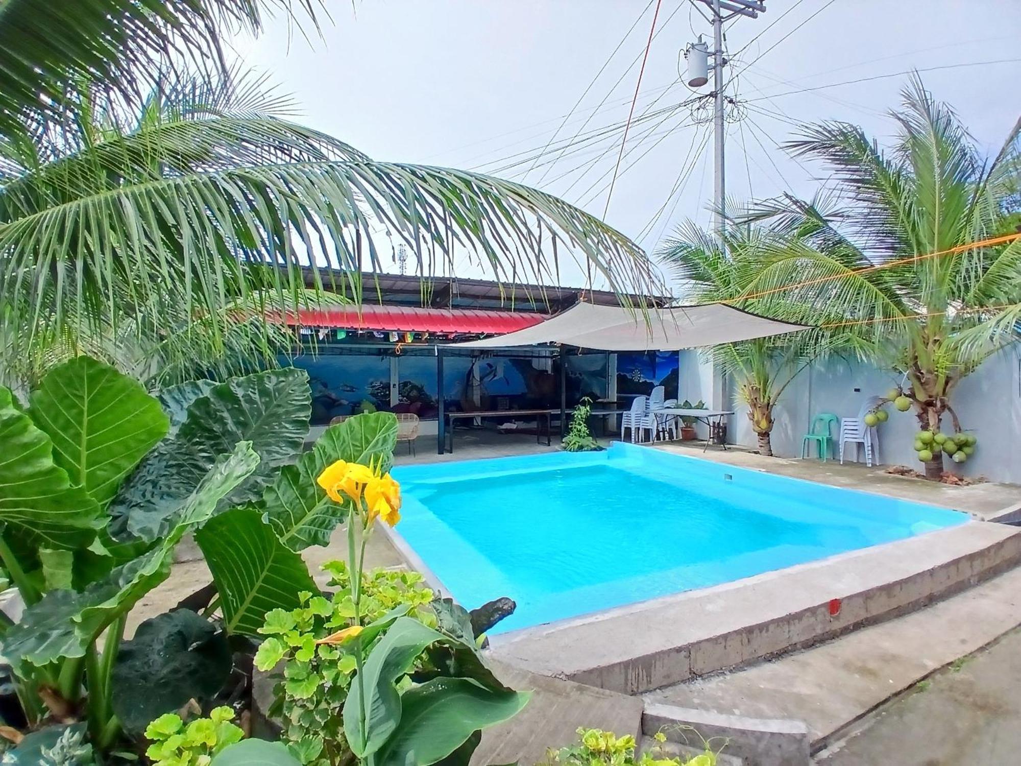 Ananas Guesthouse Moalboal Zewnętrze zdjęcie