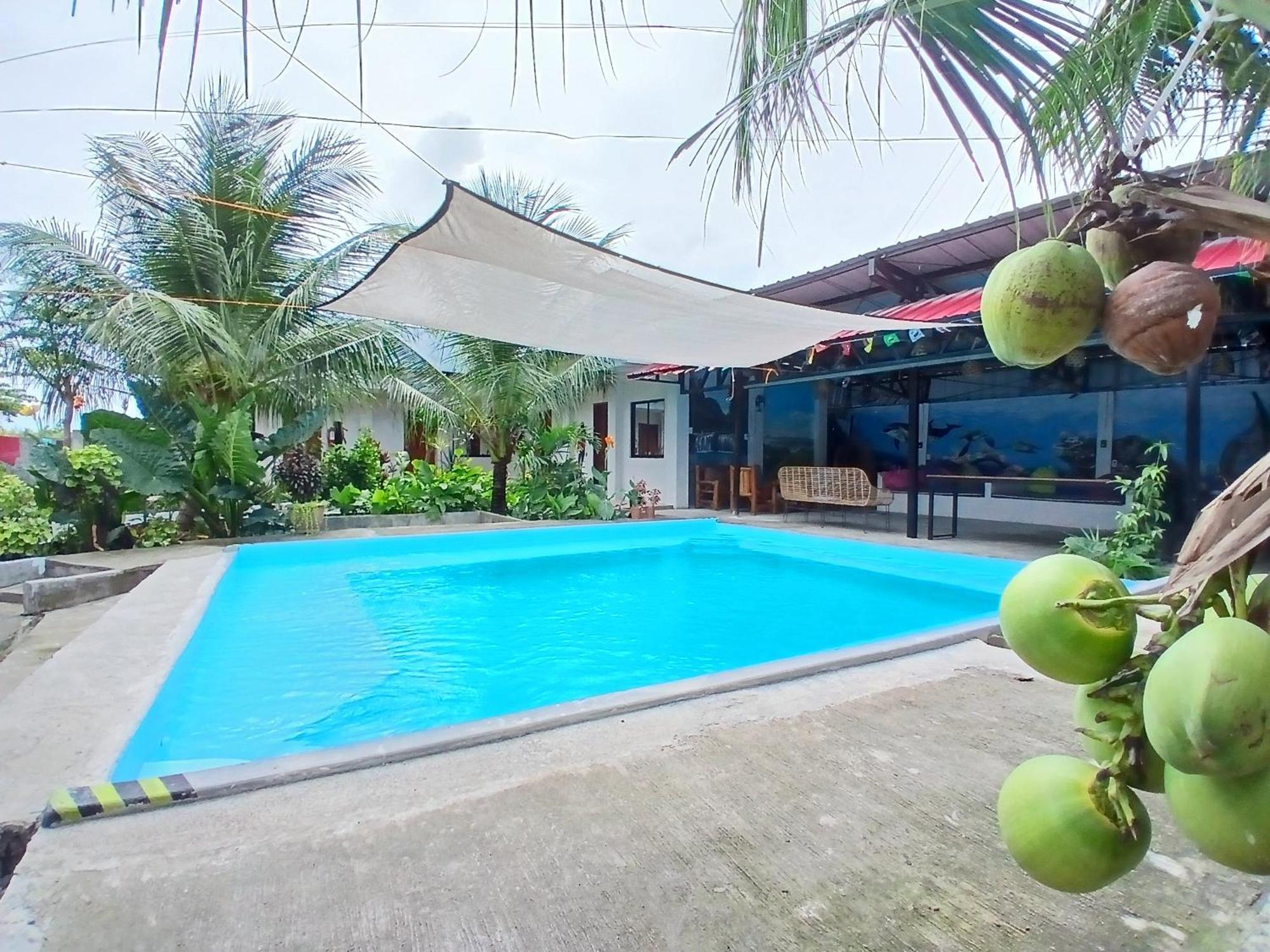 Ananas Guesthouse Moalboal Zewnętrze zdjęcie