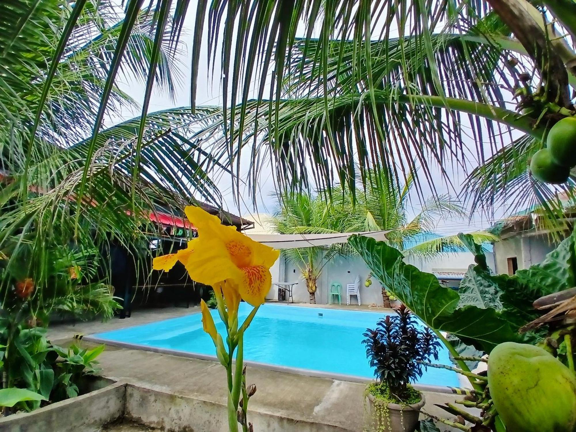 Ananas Guesthouse Moalboal Zewnętrze zdjęcie