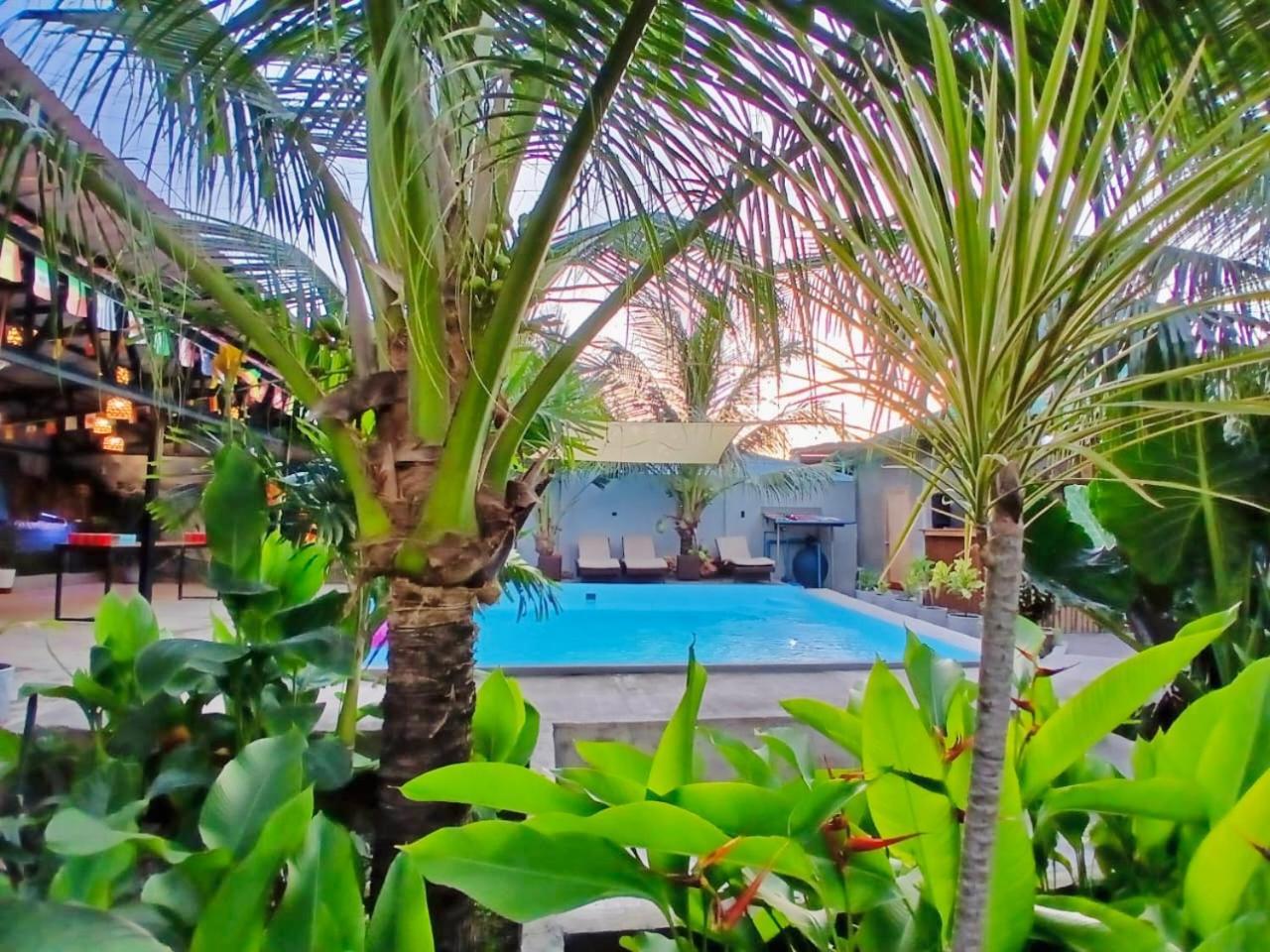 Ananas Guesthouse Moalboal Zewnętrze zdjęcie