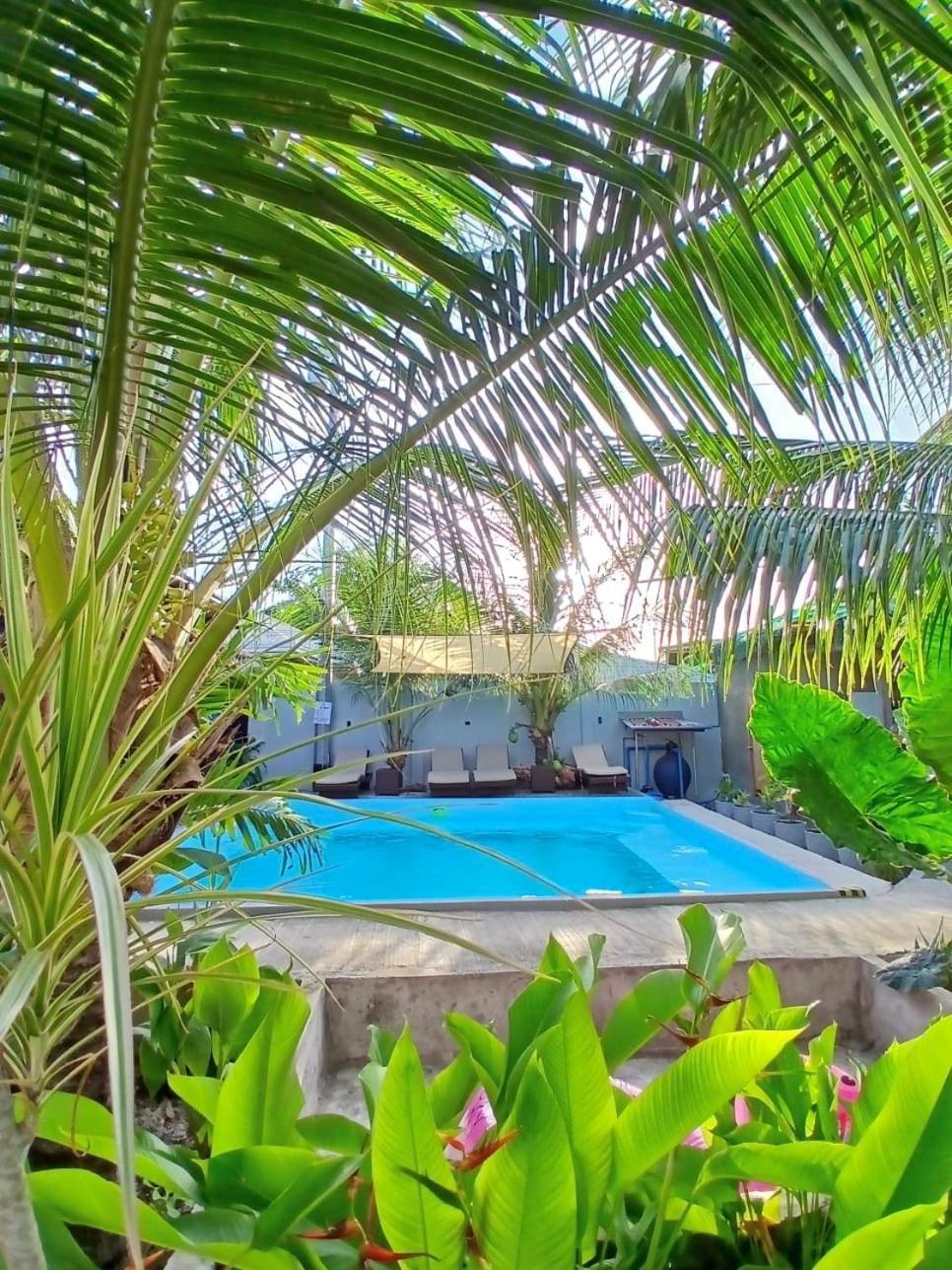 Ananas Guesthouse Moalboal Zewnętrze zdjęcie