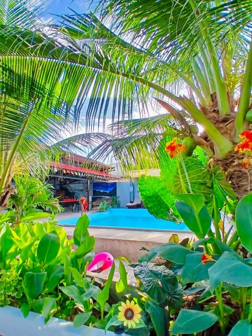 Ananas Guesthouse Moalboal Zewnętrze zdjęcie