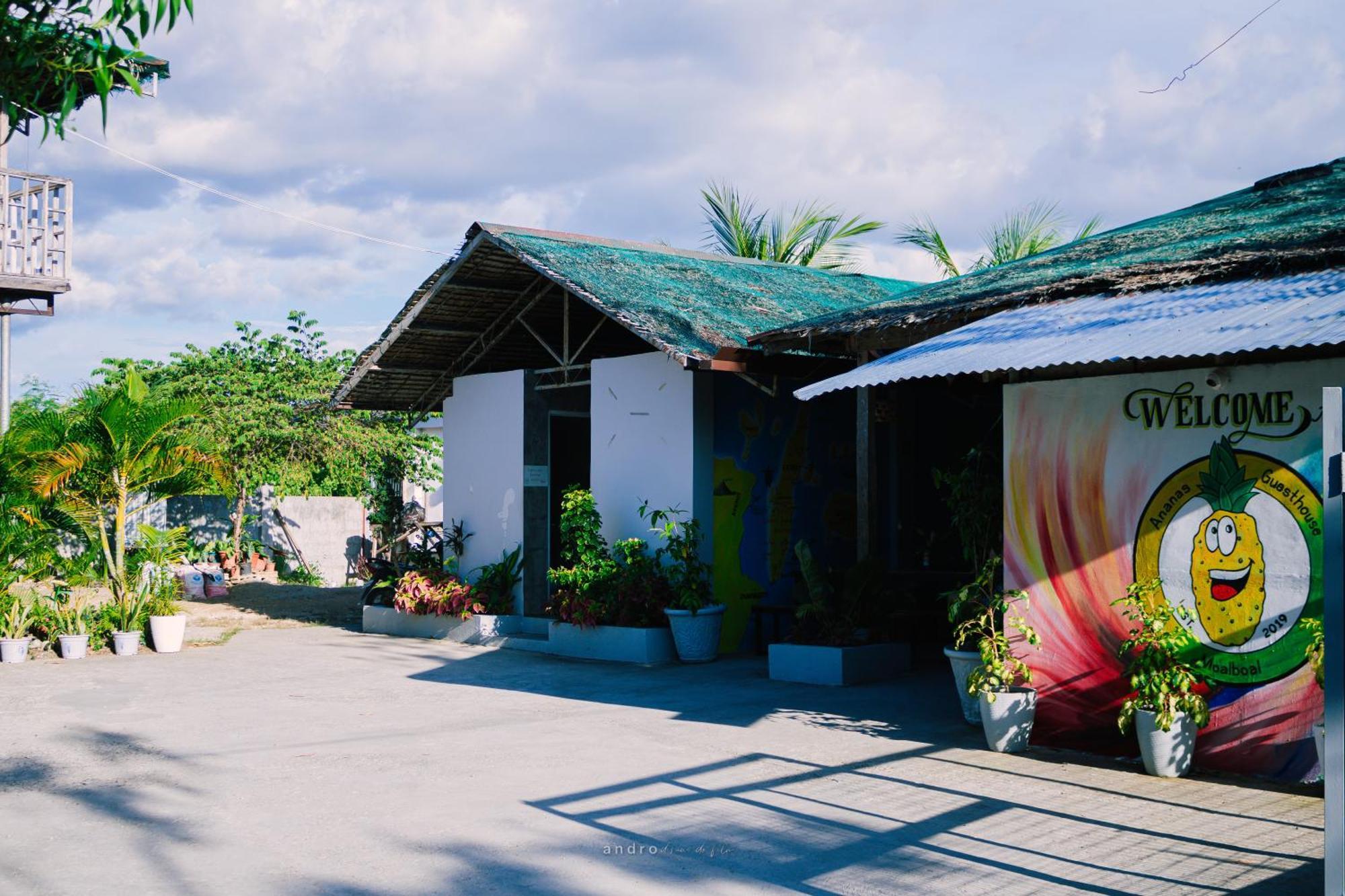 Ananas Guesthouse Moalboal Zewnętrze zdjęcie