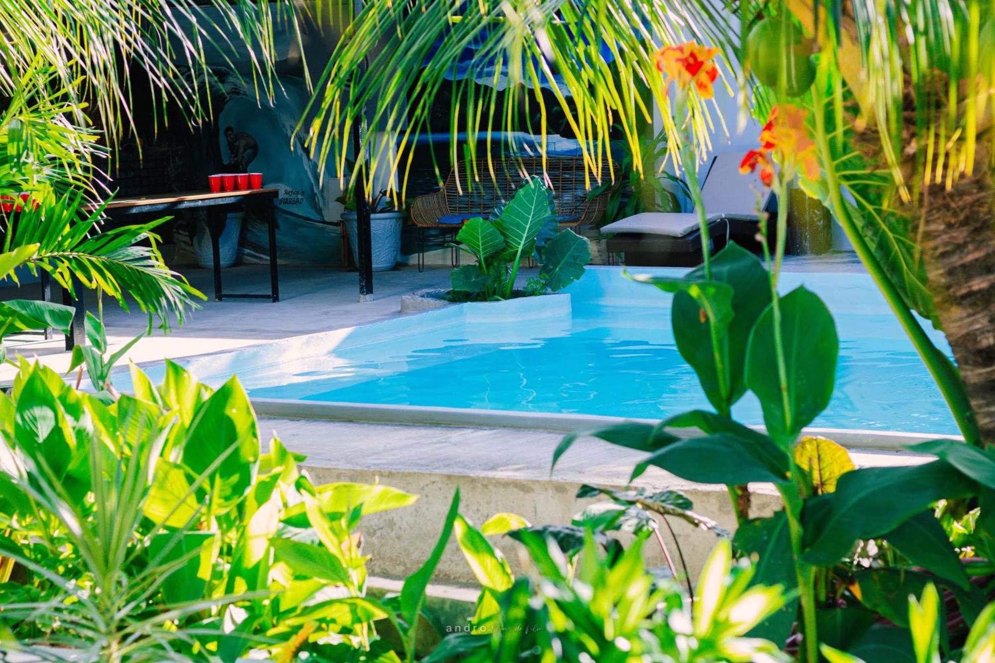Ananas Guesthouse Moalboal Zewnętrze zdjęcie