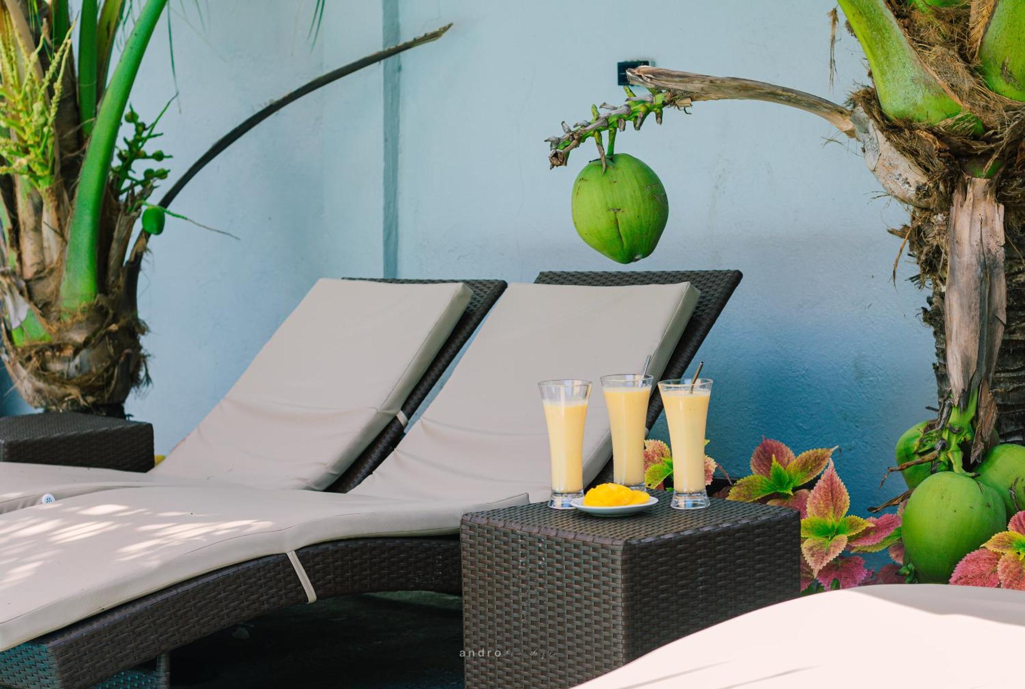 Ananas Guesthouse Moalboal Zewnętrze zdjęcie