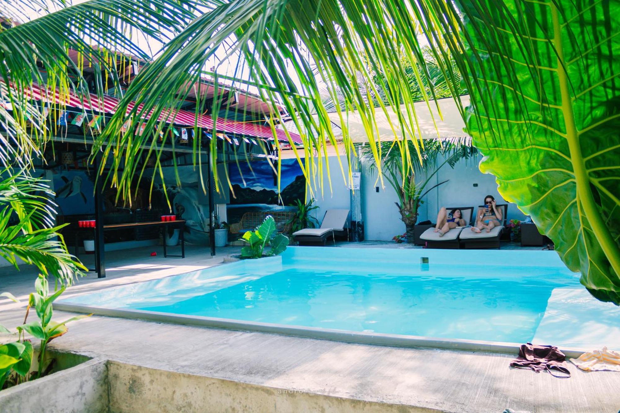 Ananas Guesthouse Moalboal Zewnętrze zdjęcie